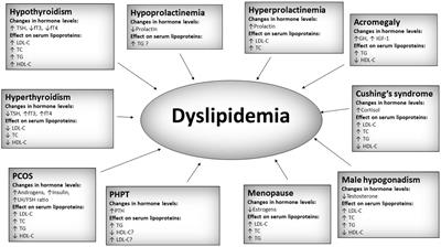 Lipoprotein alterations in endocrine disorders - a review of the recent developments in the field